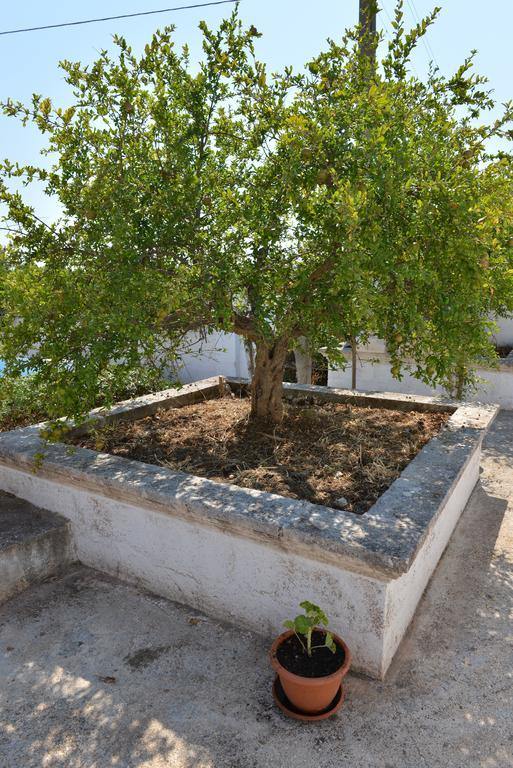 Masseria Gravinella Φαζάνο Εξωτερικό φωτογραφία
